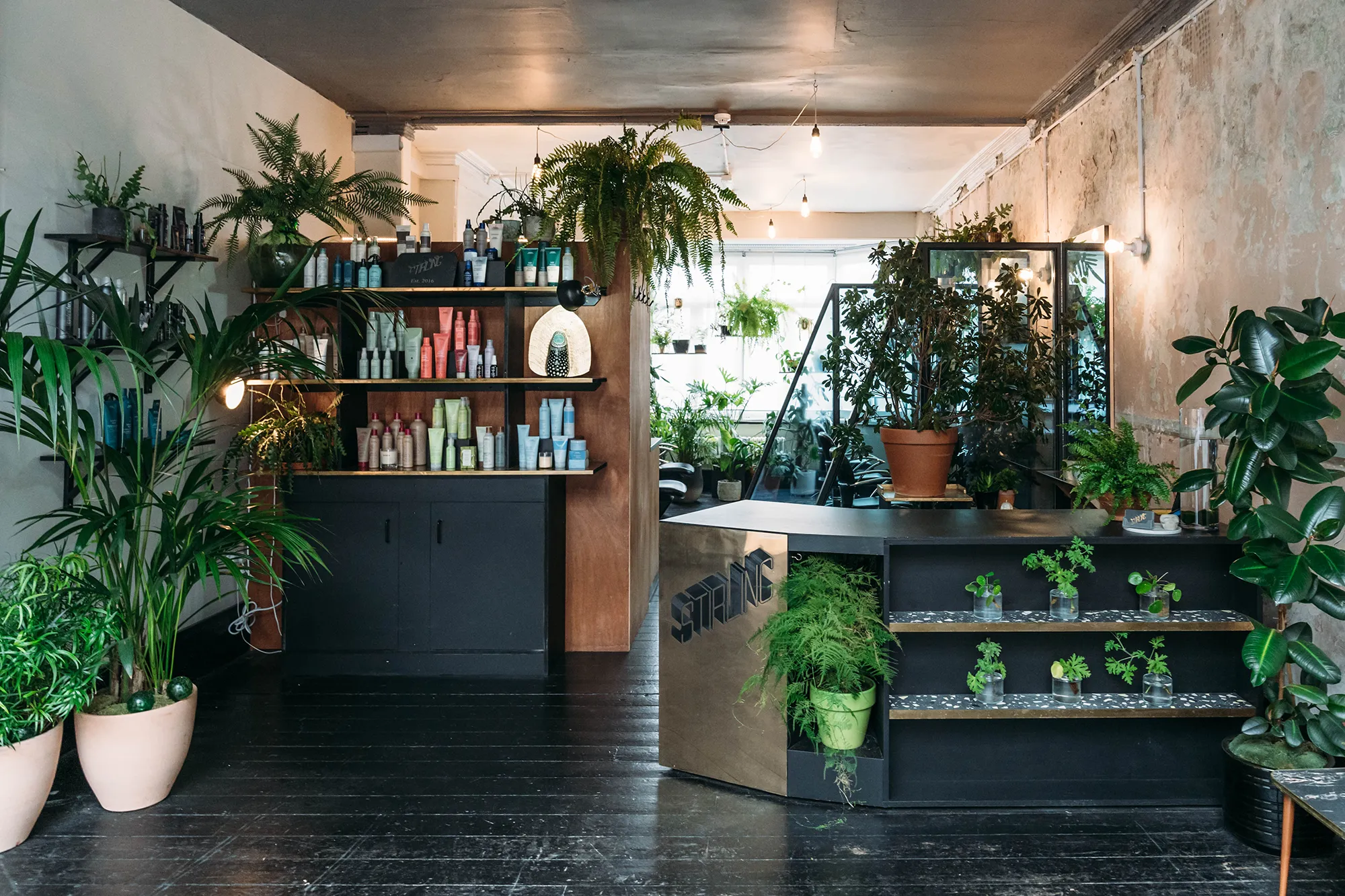 An open plan hair salon with black bare floorboards and lots of houseplants